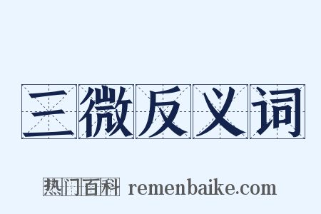 三微反义词是什么意思的图片
